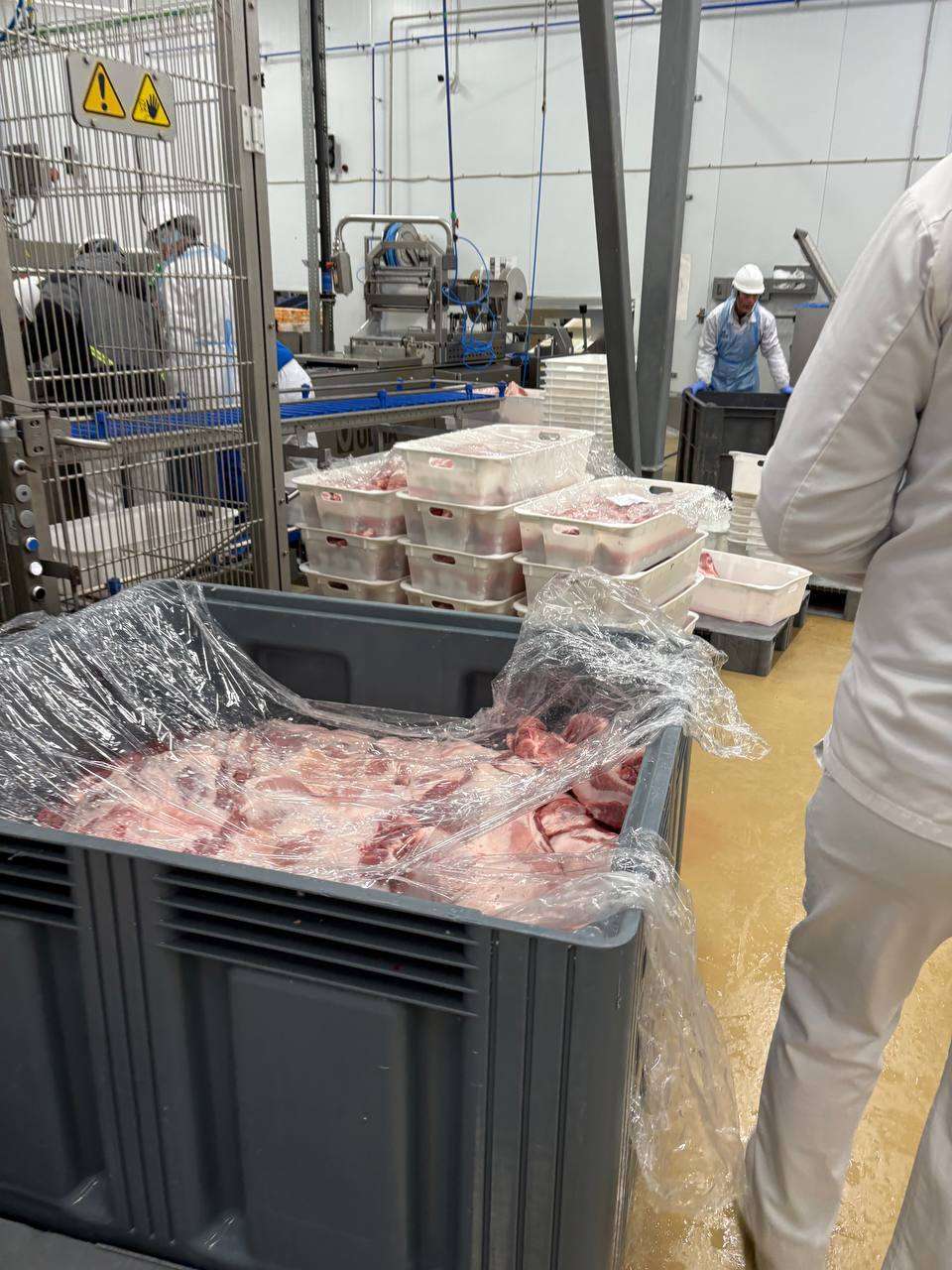 Livestock Butcher Needed in Vladivostok, Russia