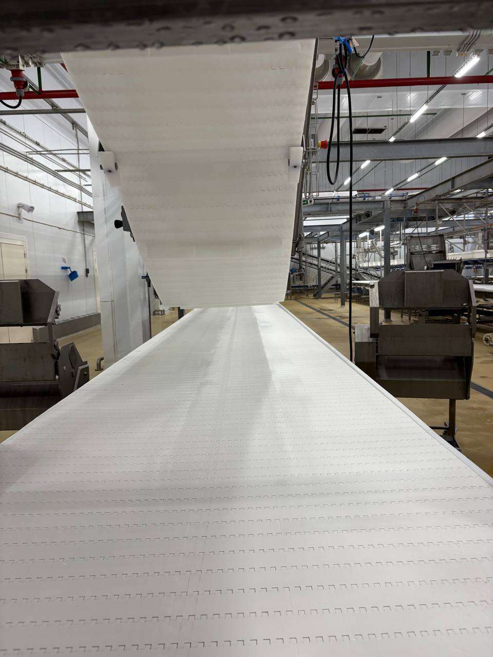 Livestock Butcher Needed in Vladivostok, Russia