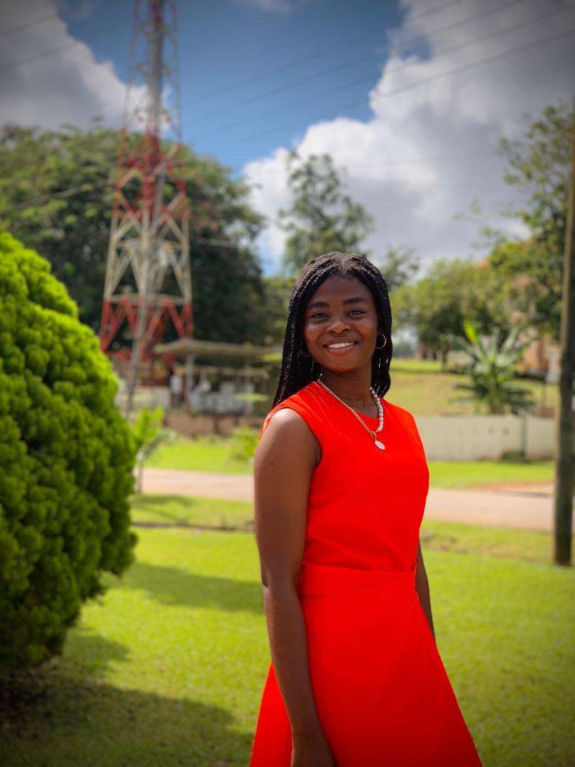 Environmental and Safety Engineer